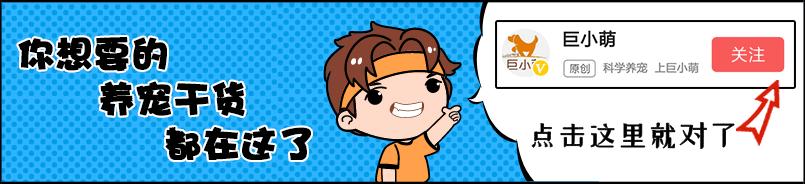 辟谣被狗咬就一定要打疫苗,辟谣被狗咬伤女童身亡