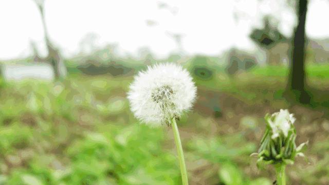 广州隐世峡谷游玩攻略,广州要坐船才能登的小岛