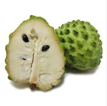 番荔枝外形酷似荔枝，故名“番荔枝”，为热带地区著名水果