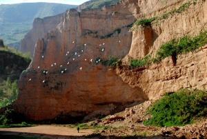 陕西咸阳风土民情,咸阳情