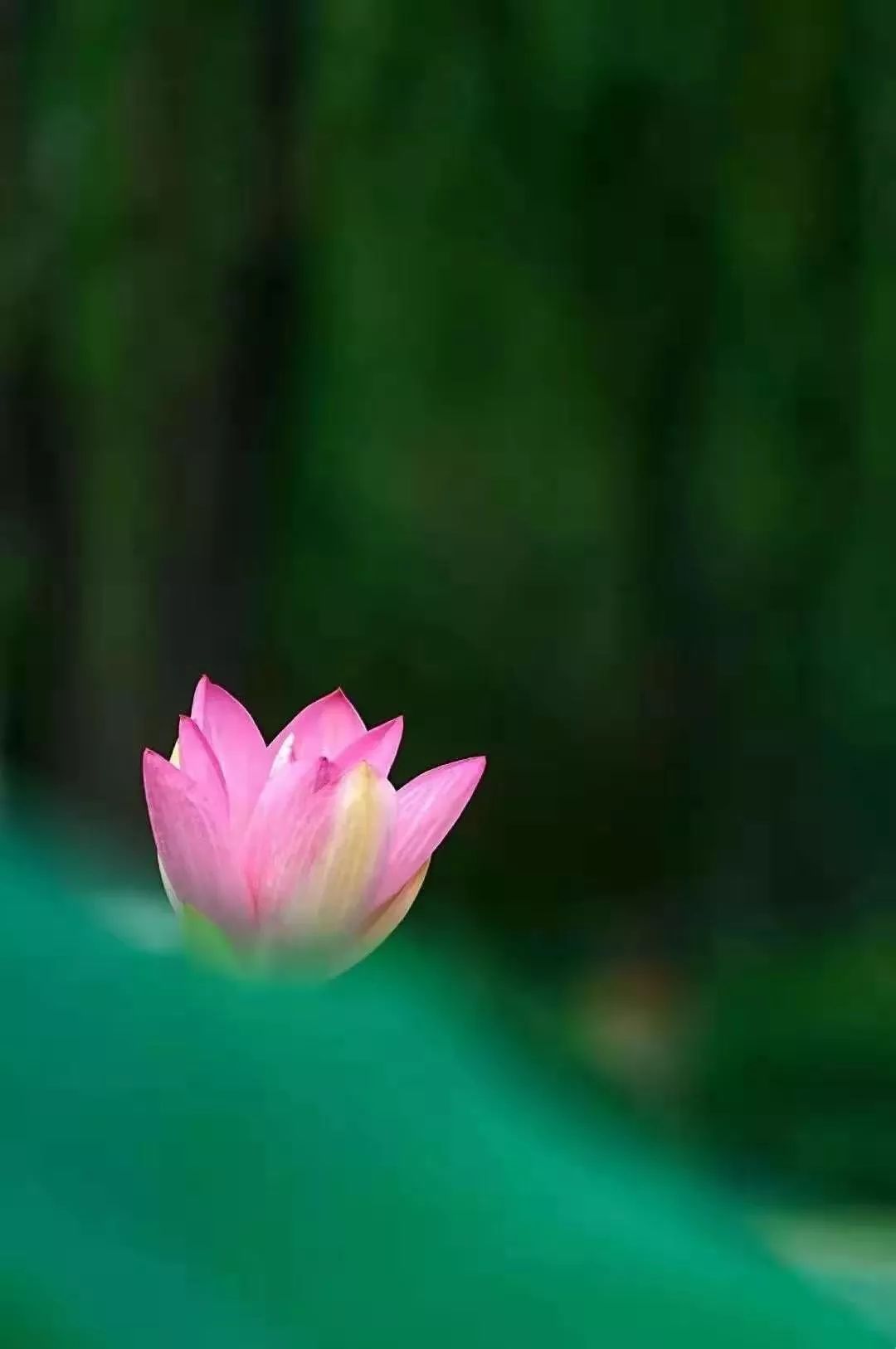 在中国歌曲,音乐在中国的发展史