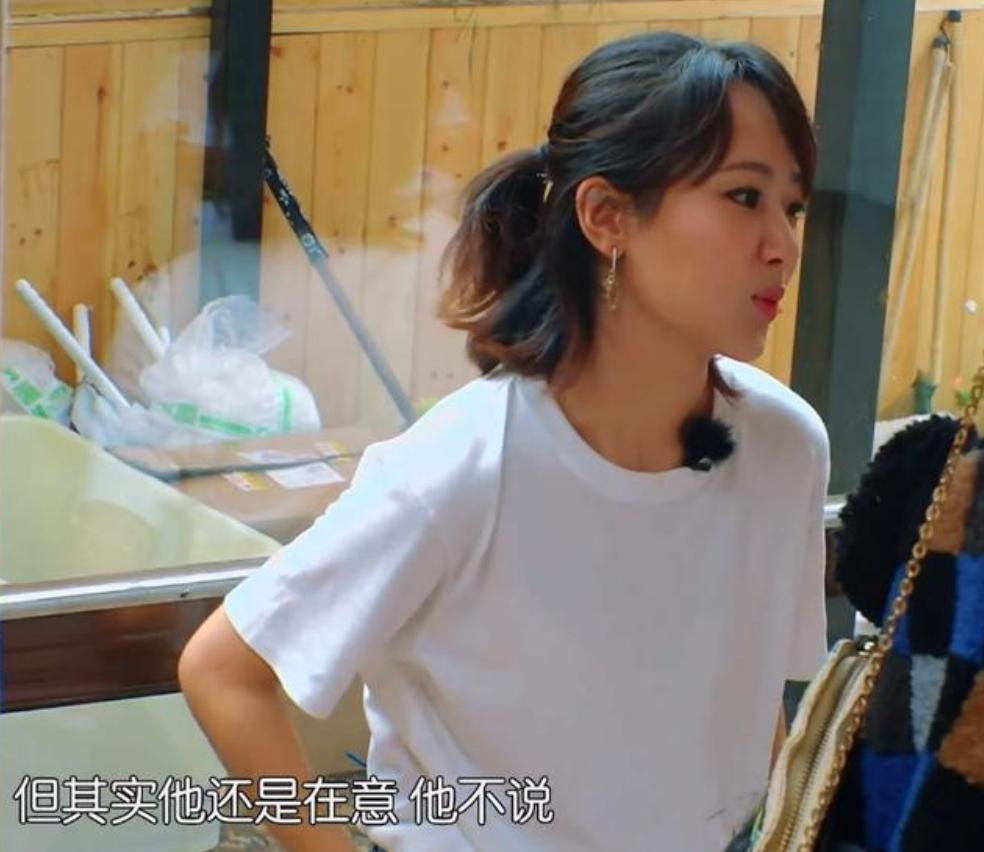 杨紫的历任男朋友都长啥样,杨紫个人资料简介及男友