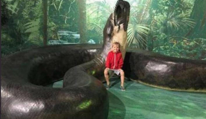 世界上最猛的蛇是不是黄蟒蛇,世界上体型最长的的八大蛇