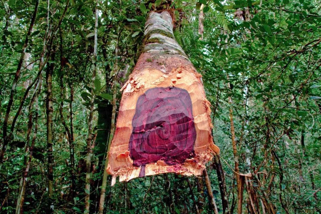 精油的有效期限是多久,精油一般开了保质期是多久