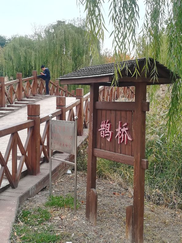 天津遛鸟的地方,天津溜狗好去处