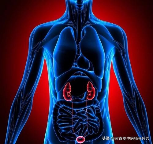 小孩过敏性紫癜要吃多久的中药好,孩子过敏性紫癜吃什么中药