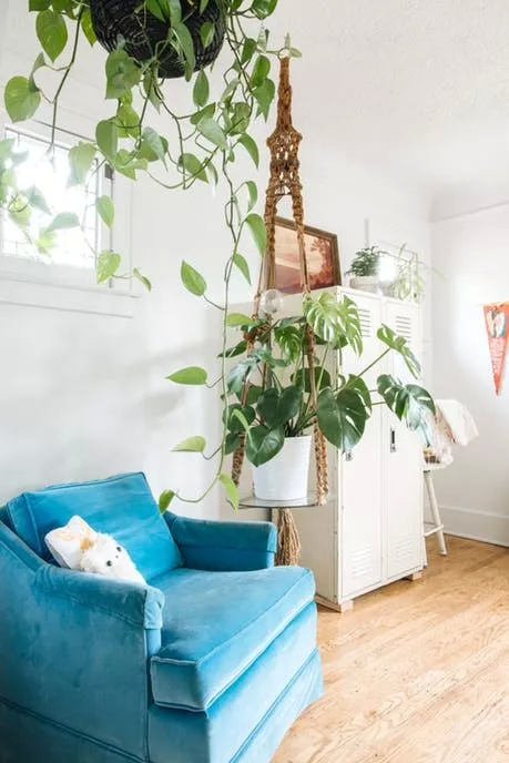 改造超过租房花费？美国年轻人的追求你不懂