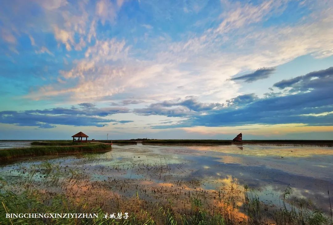 再返富锦，为着那份飘着稻花香的“湿”意约定