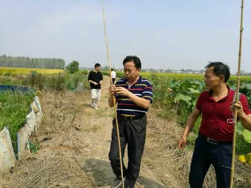 怎么保护樱桃不让鸟吃,鸟吃樱桃有什么好办法