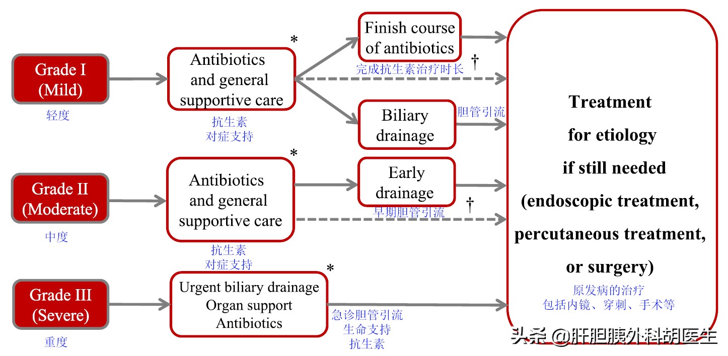 急性胆管炎应该怎么诊治,急性梗阻性化脓性胆管炎