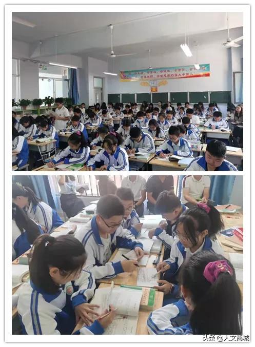 禹城市督杨实验学校教导主任,禹城督杨实验学校老师名单