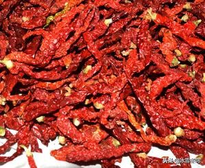 各种辣椒的介绍以及辣度,带你了解更多的辣椒知识