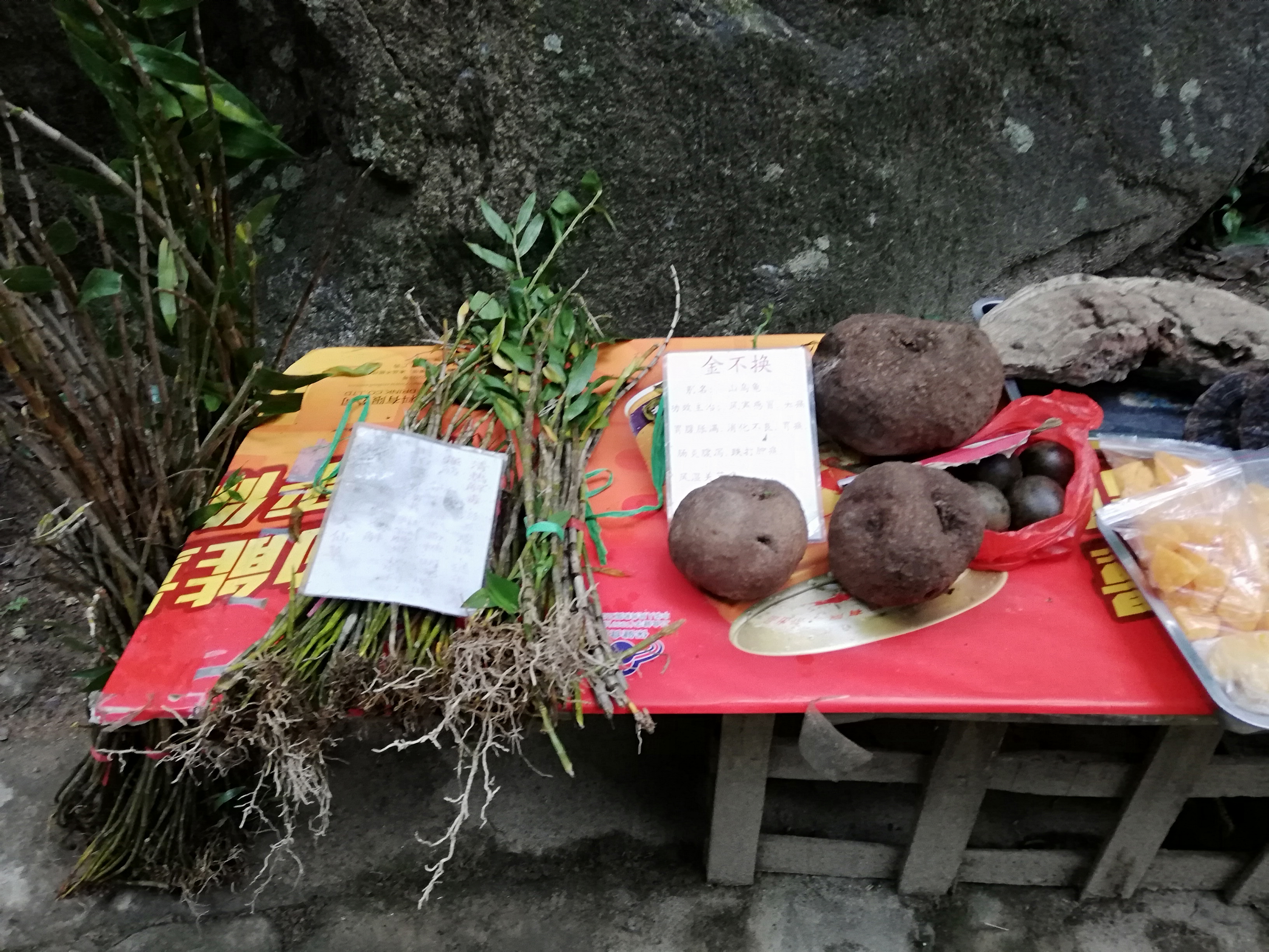 巴马100岁老人长寿秘诀视频,巴马五大长寿之乡之首