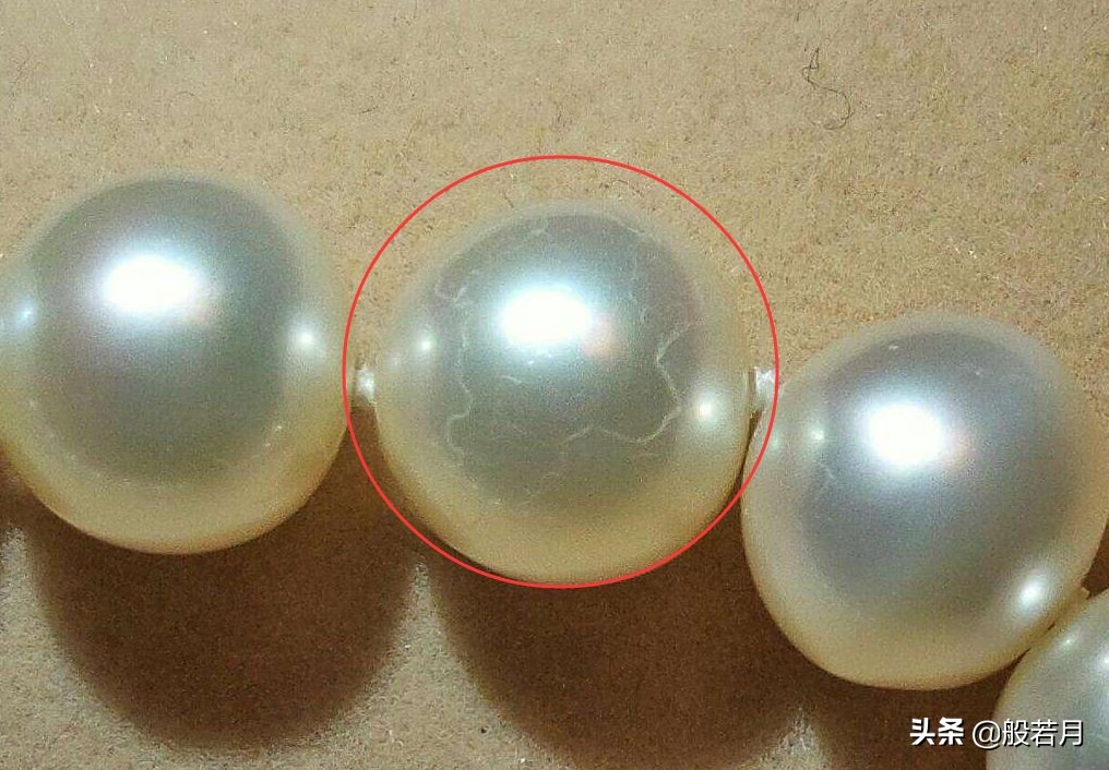 市面上99%的珍珠是什么,市场上卖的珍珠为啥那么便宜