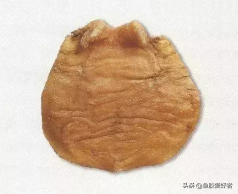哪种鱼胶最好7种鱼胶的分类,鱼胶知识与食用方法