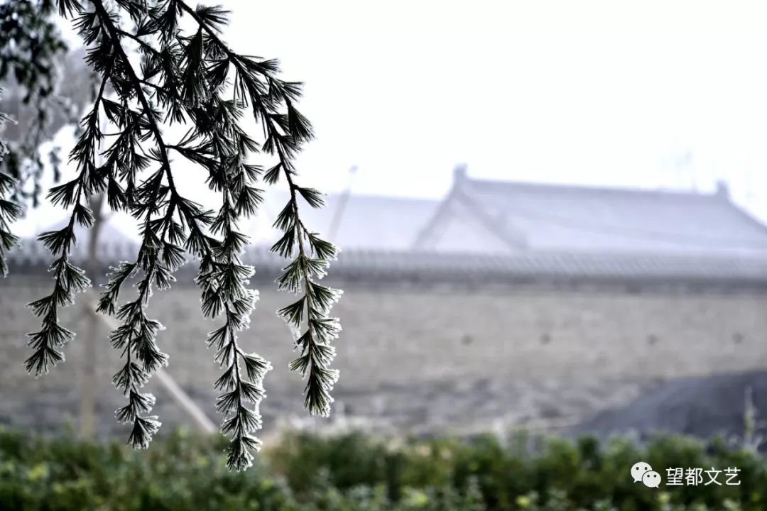 雪后美景银装素裹,雪后银装素裹似仙境