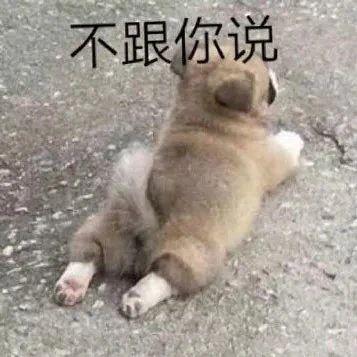 搞笑gif你们这些城里人太会玩了,搞笑gif逗比的世界你永远理解不了