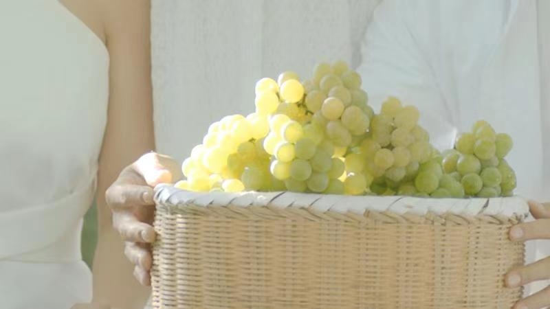 9月份云南有什么好吃水果,云南瓜果飘香有你最爱的吗