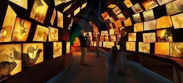 研学旅行博物馆新玩法,研学探索之旅景点