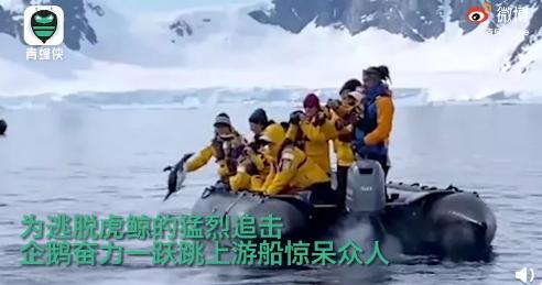 突发心梗医生打什么药,突发心梗急诊医生