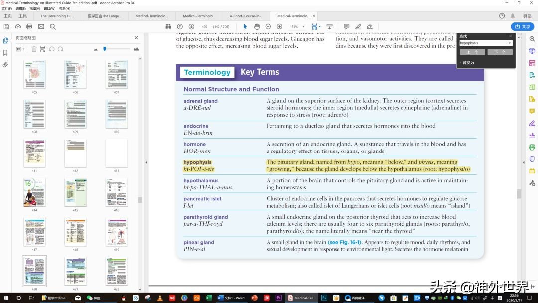 鞍区解剖学习笔记之——垂体