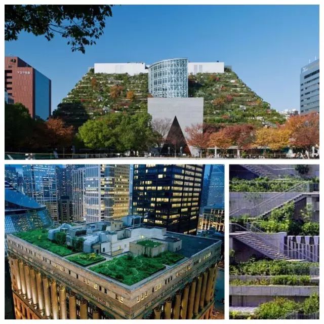 国外漂亮的30个屋顶花园,全球最大屋顶花园图片