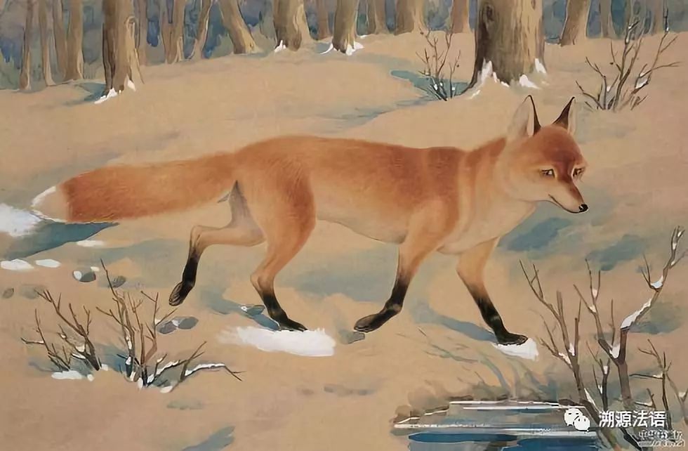 看清身边的人认清身边的鬼,看清偶像的真面目