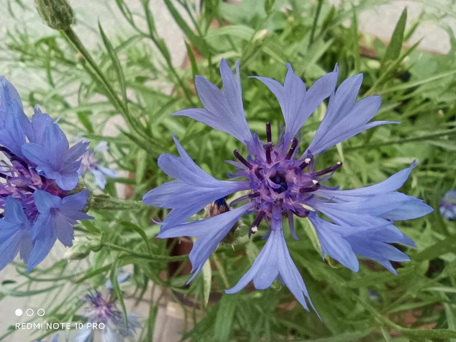 redminote10护眼屏,redminote10全面屏