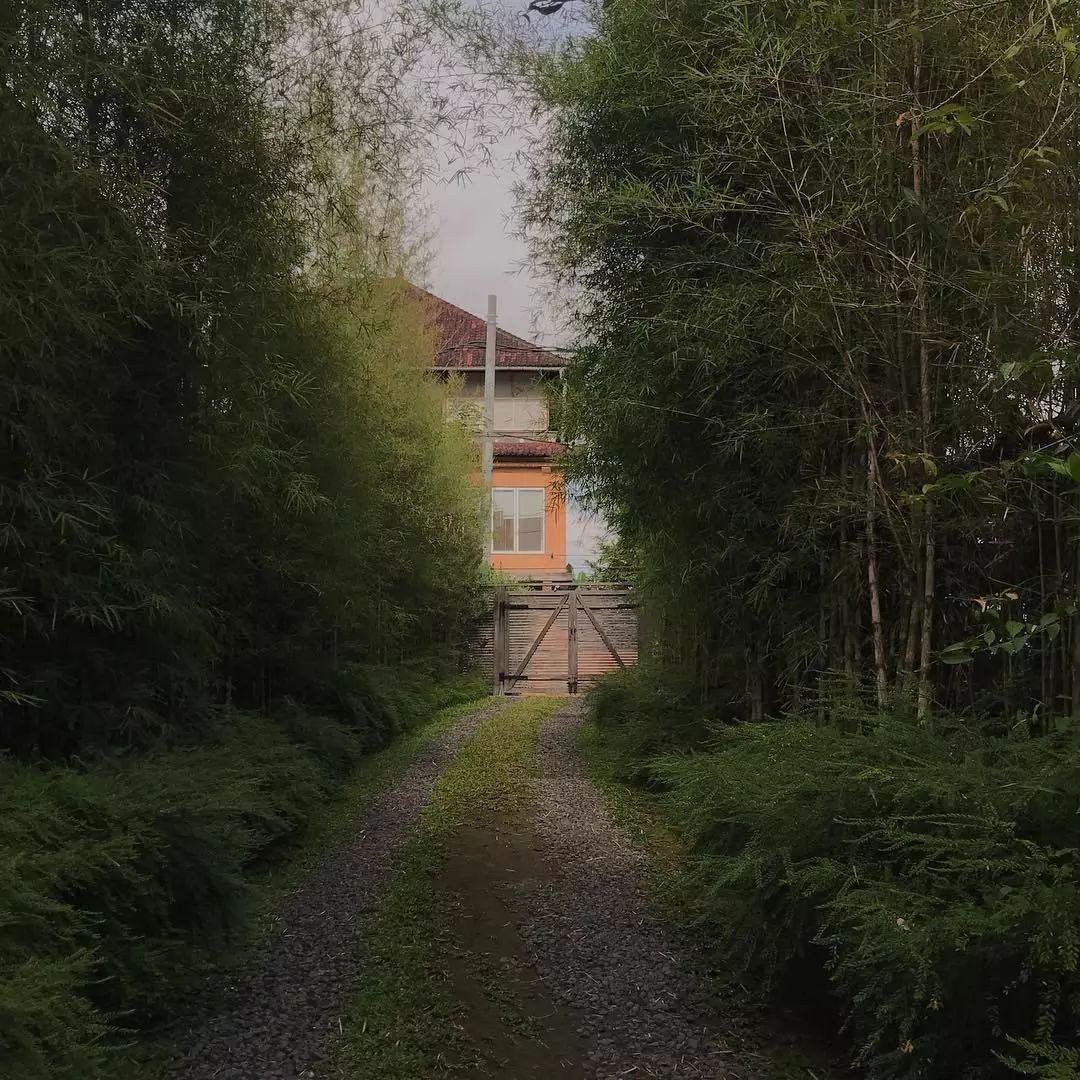 小姐姐分享自拍的“羞羞”日常，引百万人围观