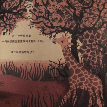 这套让娃沉迷一整天的科普书，连大人都忍不住偷着玩！畅销300万