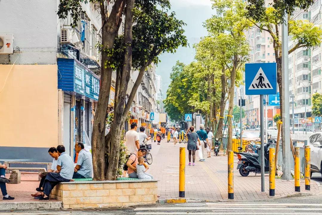 附近莲塘,附近的莲塘