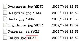 计算机病毒的传播途径,计算机病毒发作时的具体症状