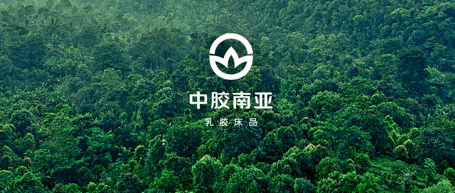 怎么样辨别真假乳胶用品,鉴别乳胶真伪