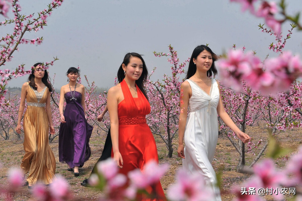 适合农村创业的29个项目,2022乡镇致富新项目