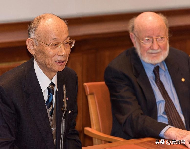 伊维菌素药片有用吗,伊维菌素有抗氧化性吗