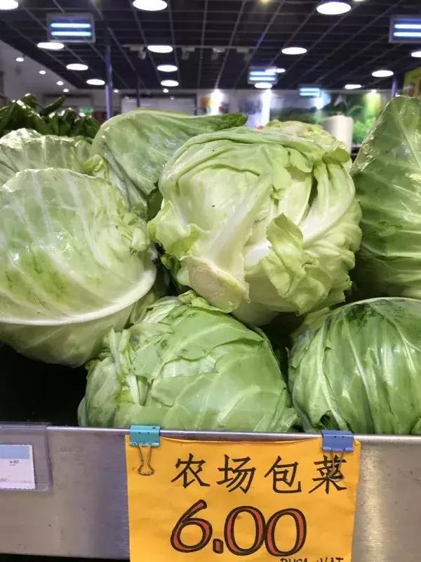 迪拜日常生活怎么样,在迪拜生活的感受