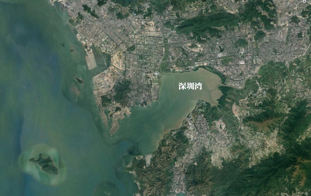 深圳湾在哪里,深圳湾是什么区的