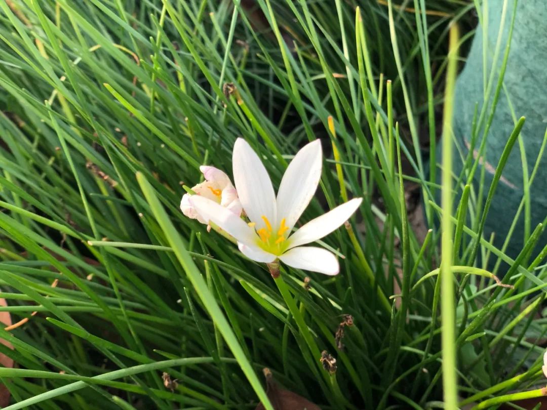 西安四大医学院,西安医学院第三临床医学院