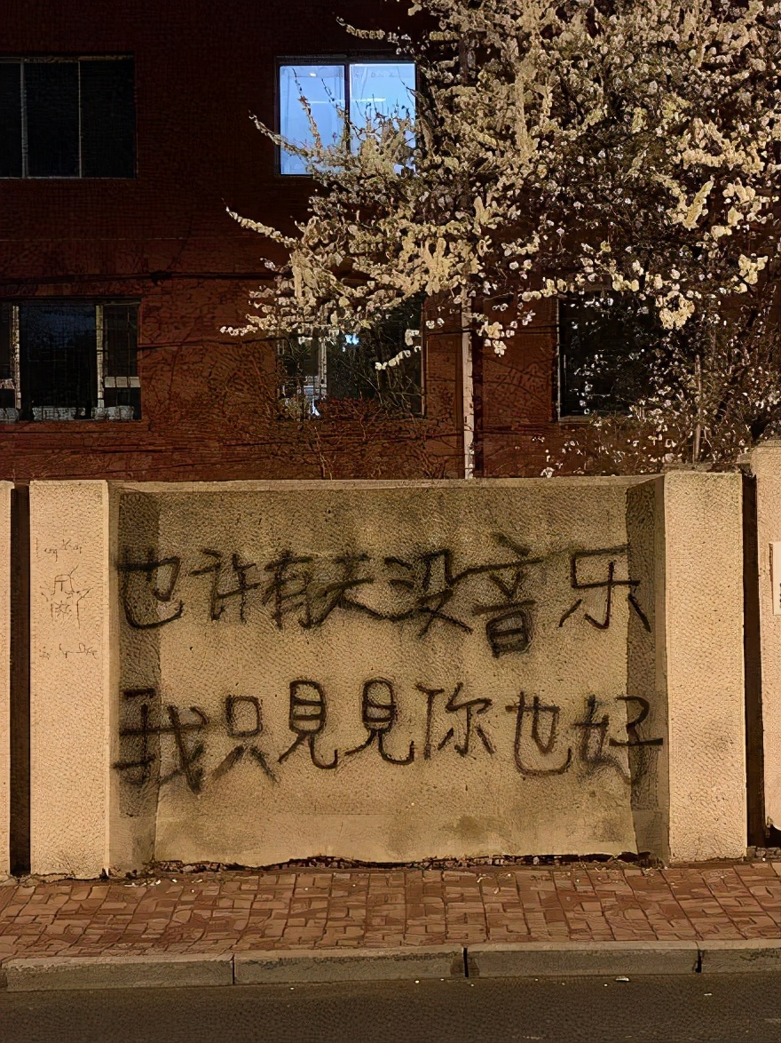 原来钢铁直男都会说情话,钢铁直男反击女生的土味情话