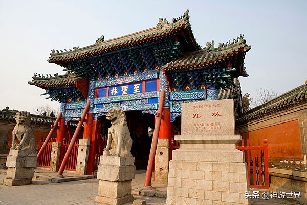 曲阜孔林游记,曲阜孔林