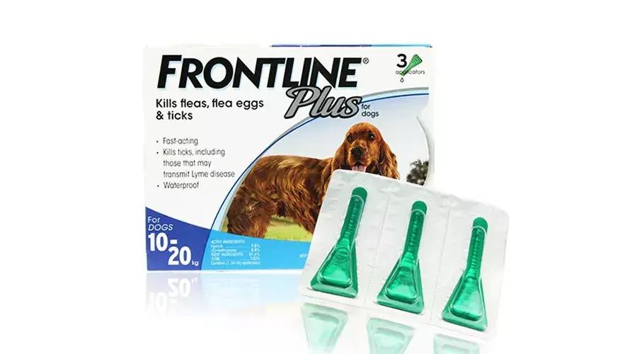 狗狗各种寄生虫的症状,狗狗常见的寄生虫