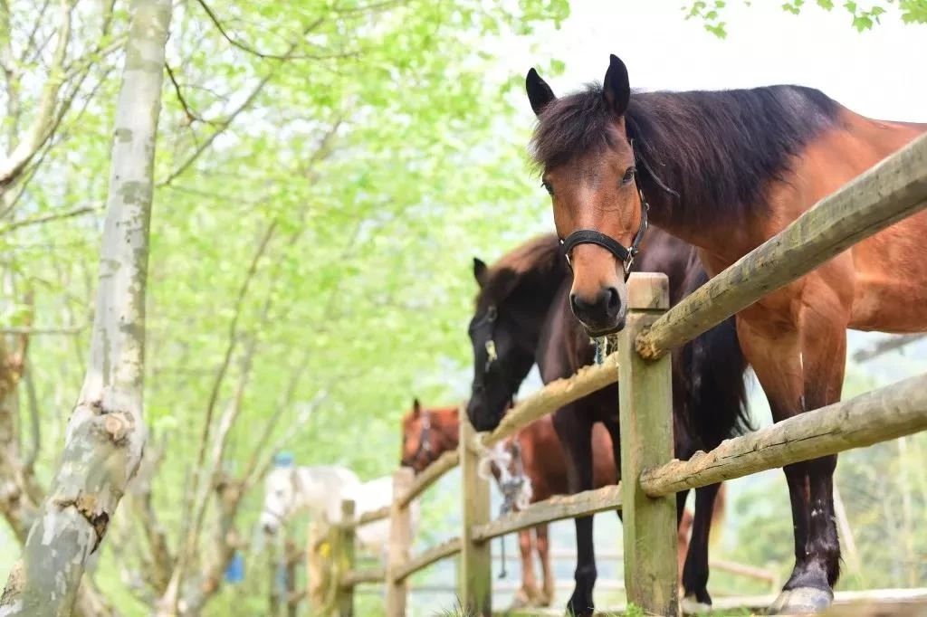 裸心堡折扣,裸心堡观景攻略
