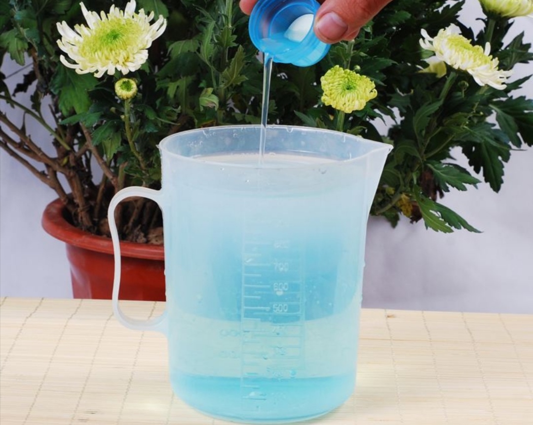 绿萝怎么浇水叶子更绿更茂盛,绿萝浇什么水长得快杆子粗叶子绿