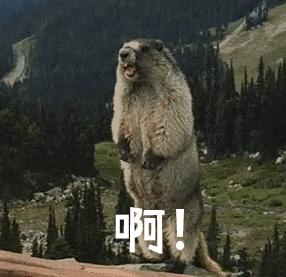 托福雅思剑桥五级考试哪个好,托福和剑桥五级的区别