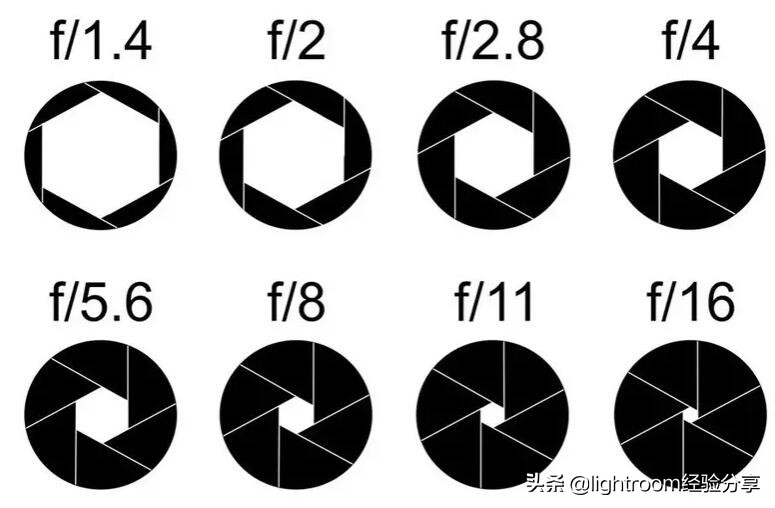 数码单反摄影从入门到精通,单反摄影入门必备器材清单