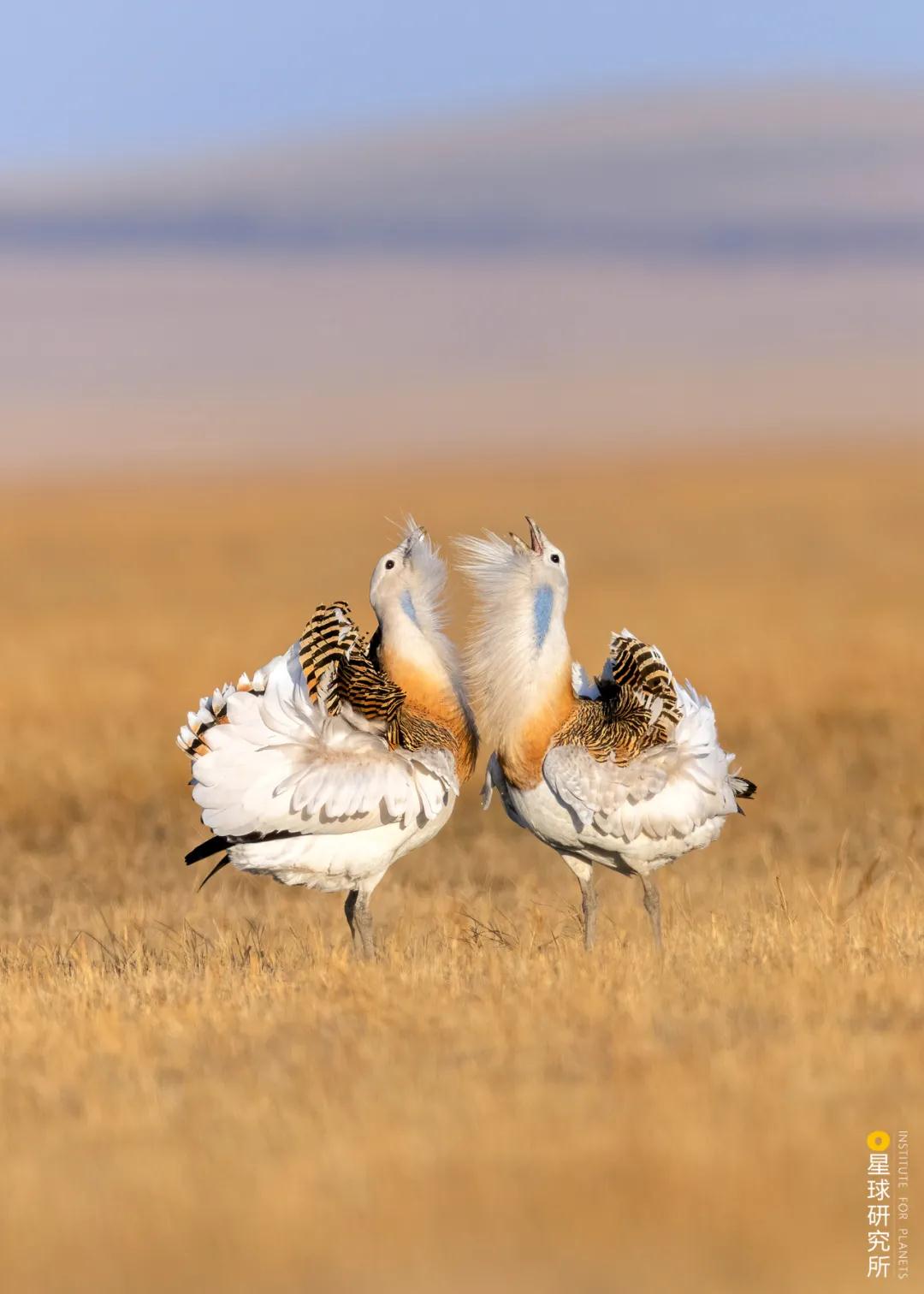 林草领域知识图谱,林草科普专业术语