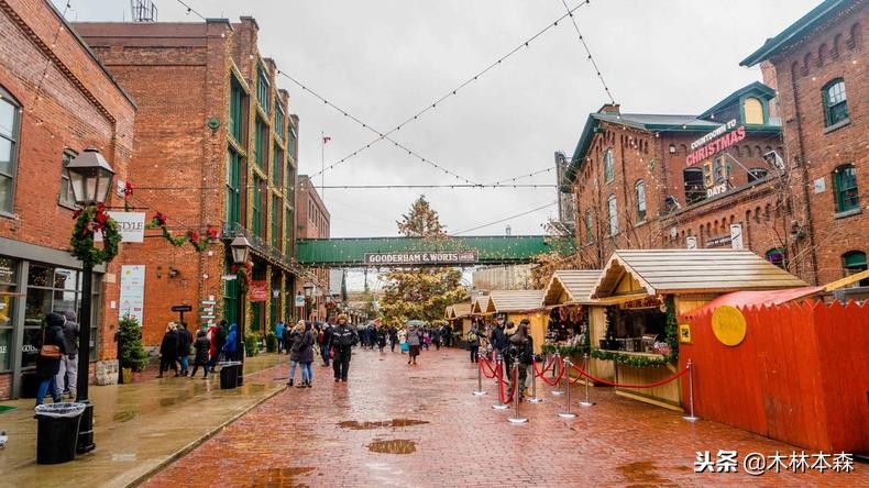 加拿大多伦多生活日记,加拿大多伦多留学生活纪实