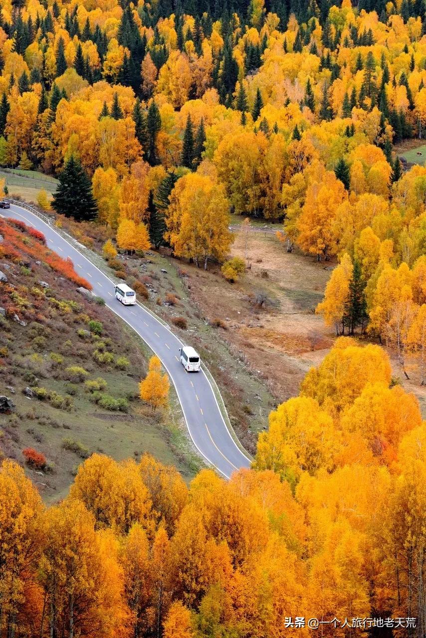 如果你不了解现实你就去看历史,如果你不了解历史就无法展望未来