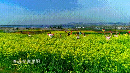 富春山居图惊艳片段,看懂富春山居图画