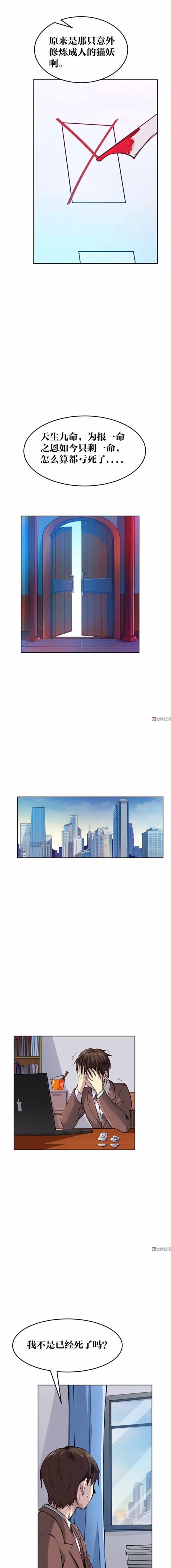 猫咪拟人化漫画,天秤座漫画猫咪